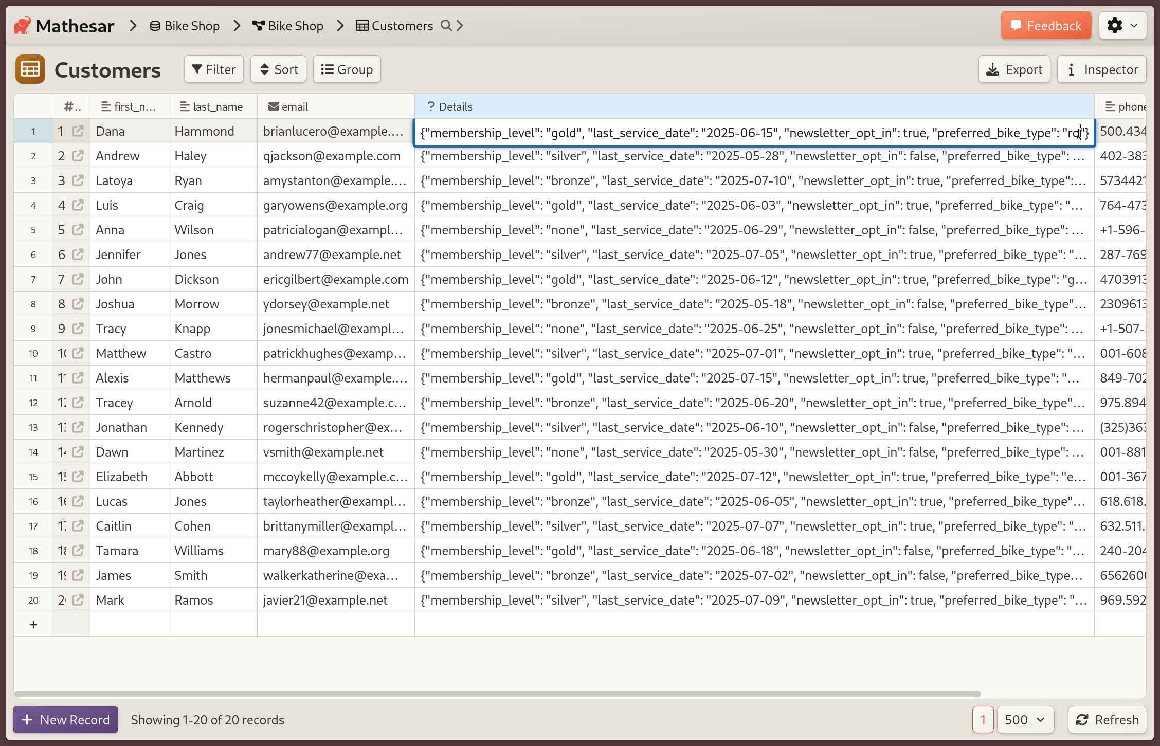 JSON for a bike shop's customer data in Mathesar's table view