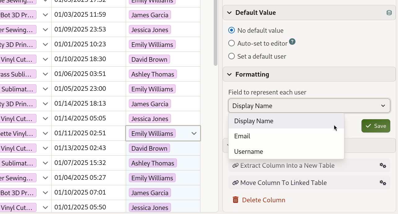 Configuring the display field for a user column