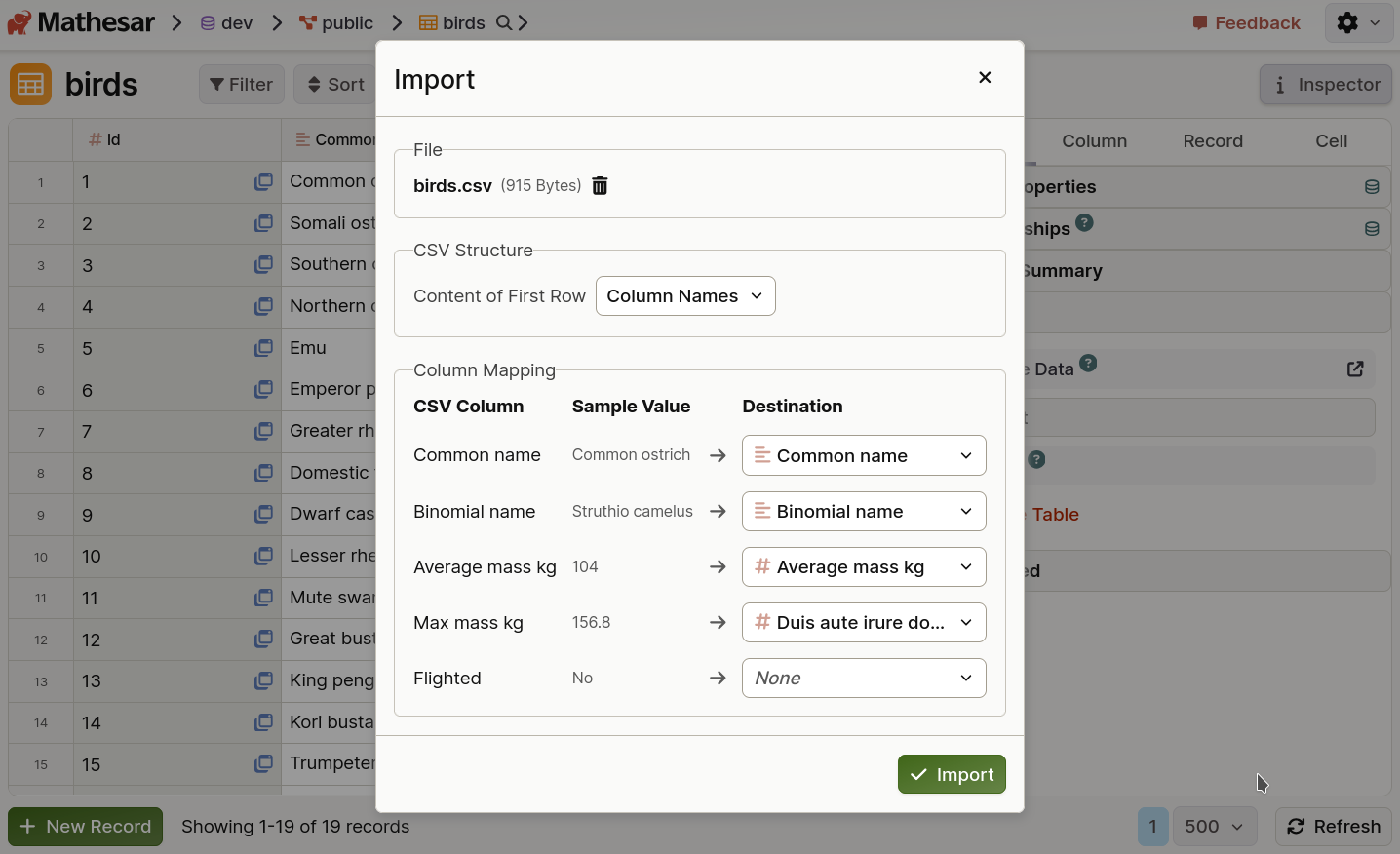 A Mathesar screenshot showing a CSV of bird species being imported with the new importer
